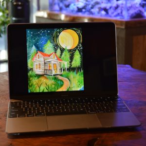 Use MacBook Retina, Early 2016 MacBook Retina, Early 2016 12